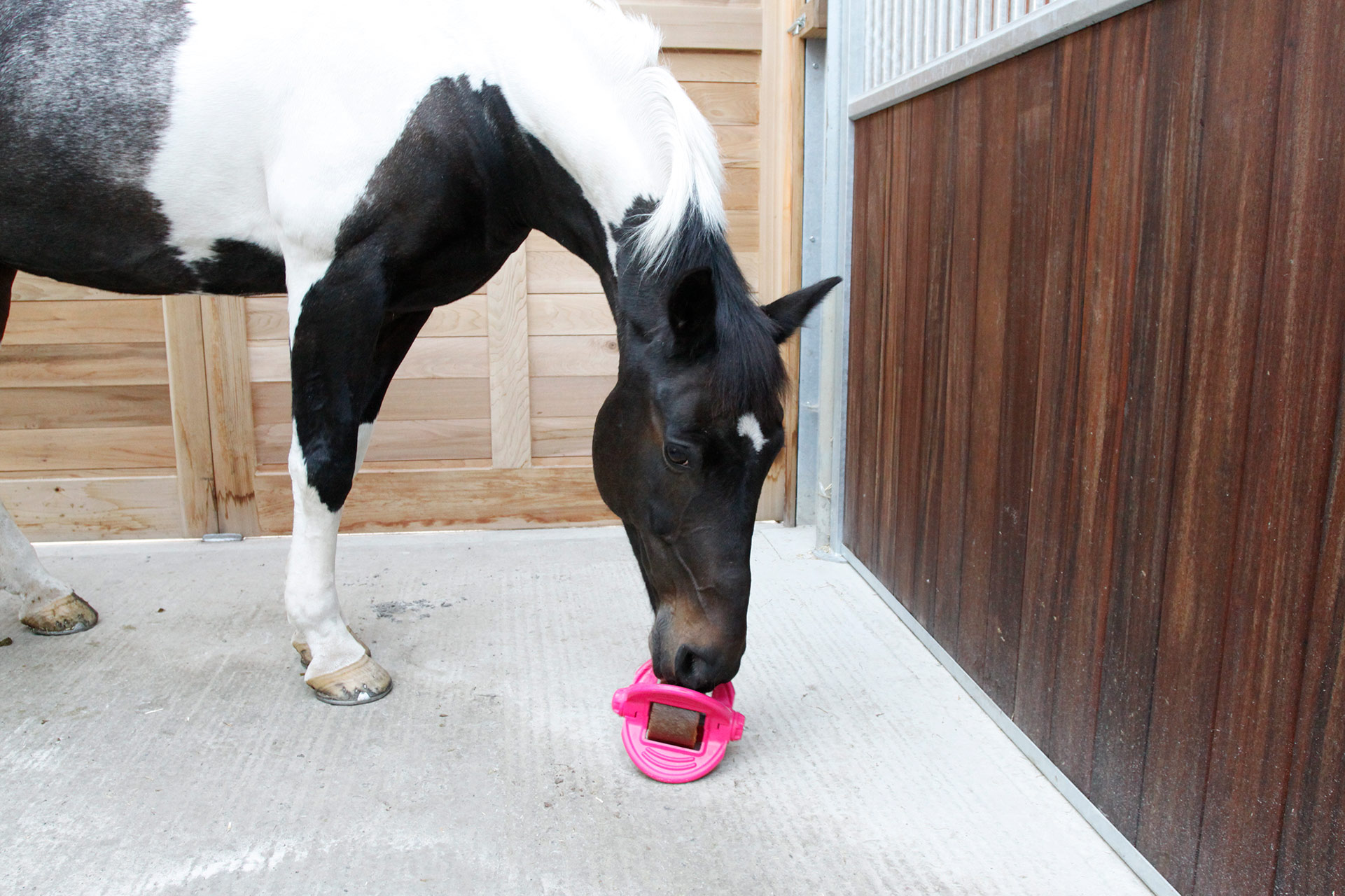 Our Products Likit Horse Treats & Toys