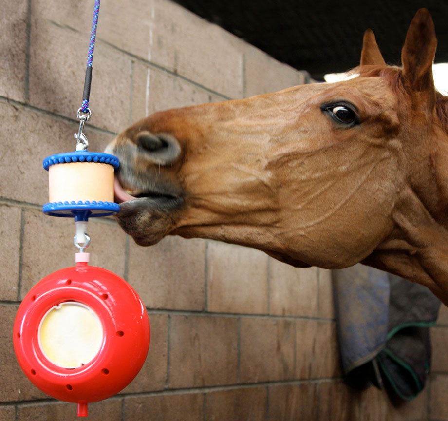 Boredom Breaker Likit Horse Treat & Toy Equine Boredom Relief