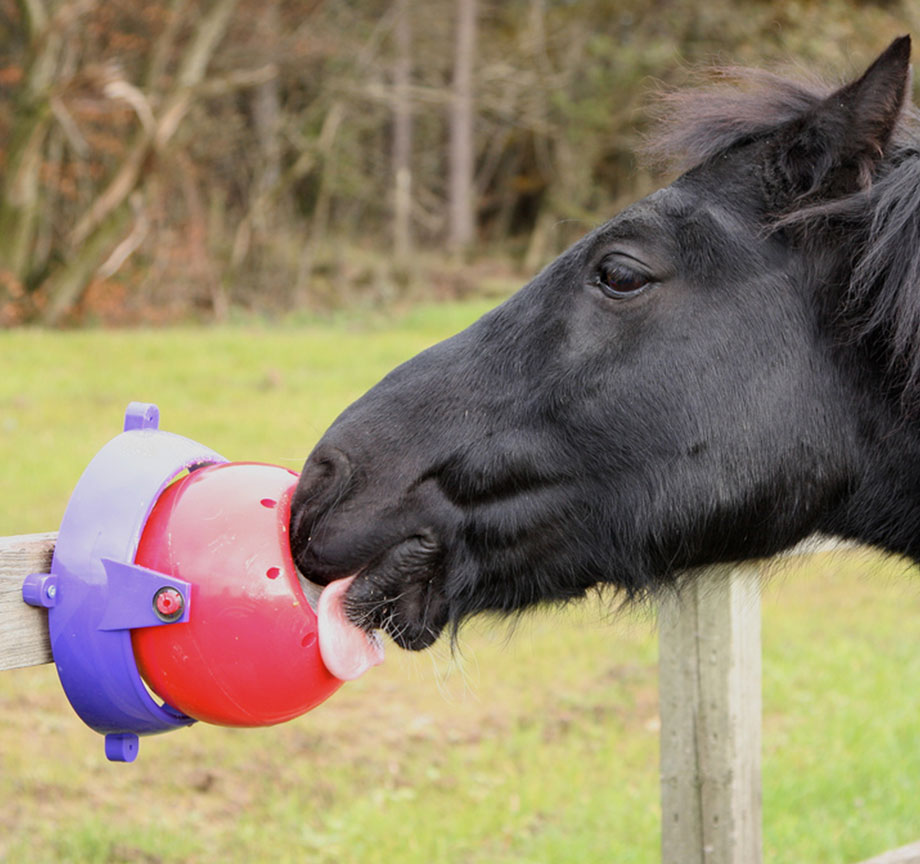 Likit-cheval Stable Boredom langue Twister/rouge