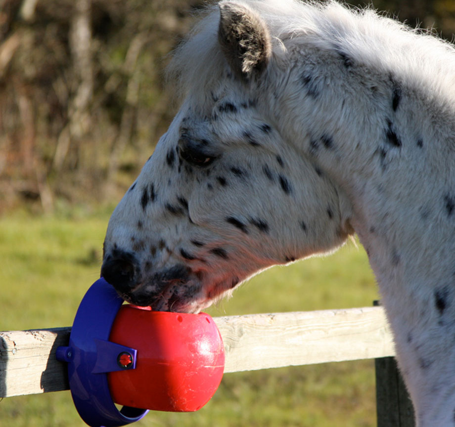 Likit-cheval Stable Boredom langue Twister/rouge