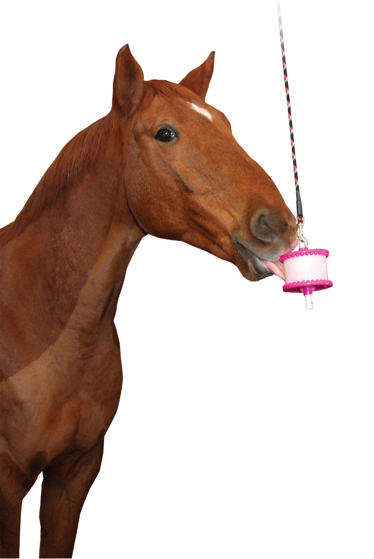 Likit Starter Kit for HorsesHorses & Ponies 