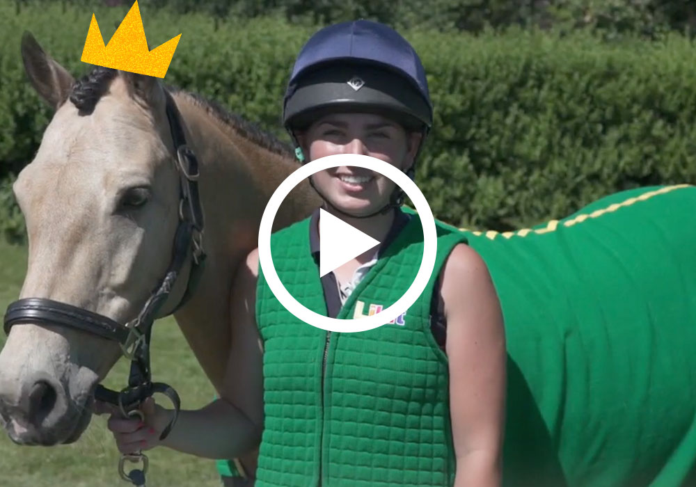 Likit PliersHorses & Ponies 