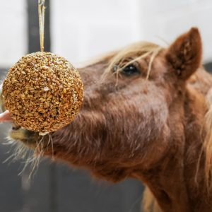 Likit Granola Stall Ball