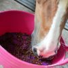 Likit Graze Maze